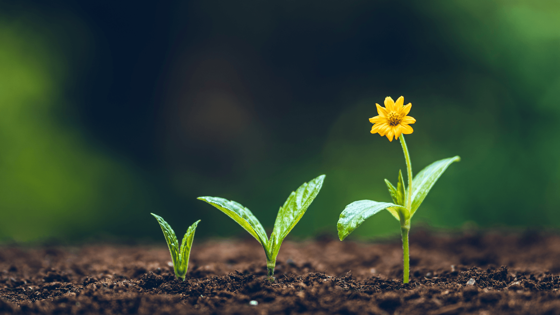 5 ways God is calling you to grow Spiritually.